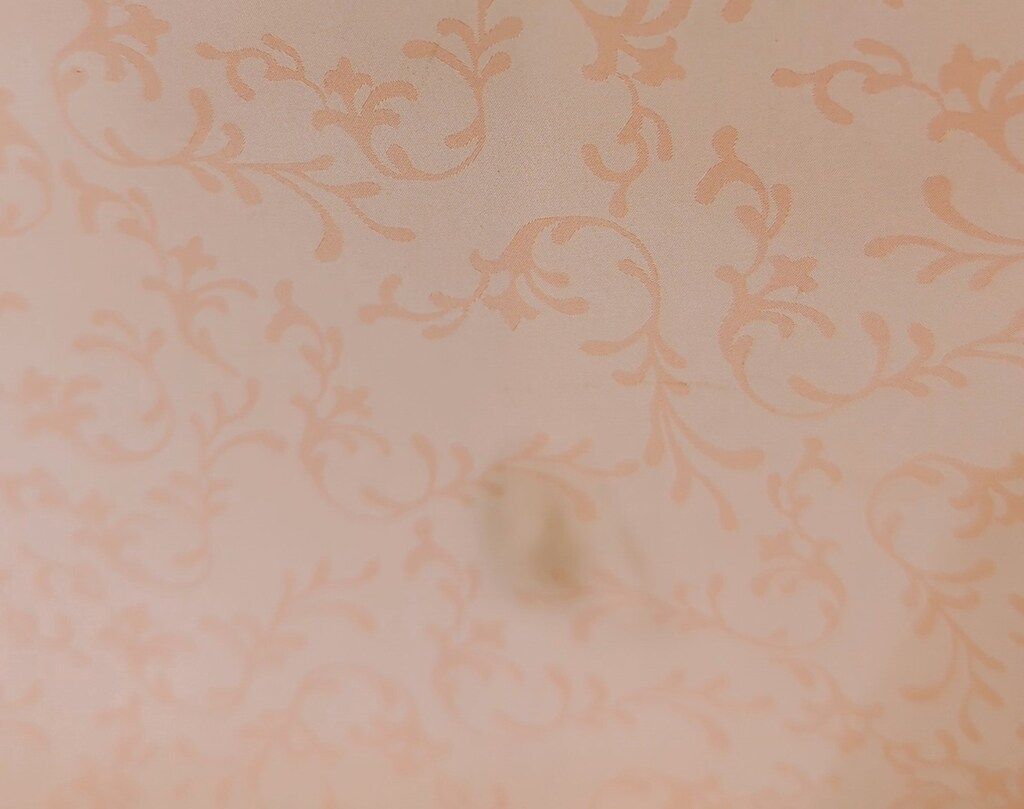 リカちゃんのアルバムIII