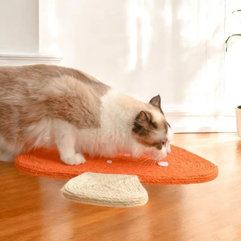ネイルファイル ネイルポリッシュ 猫製品 ペット製品 オレンジ
