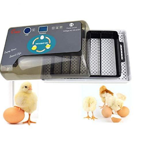 孵卵器 ミニ デジタル 卵 孵化機 自動温度制御 鶏 アヒル うずら 家庭用