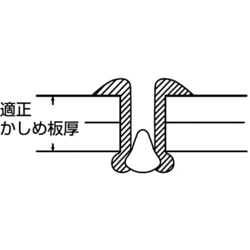 NSS42 エビ