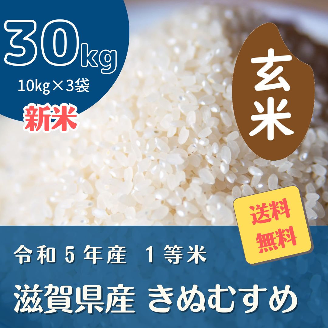 新米玄米 きぬむすめ30㎏ 注文