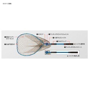 ディープタイプ
