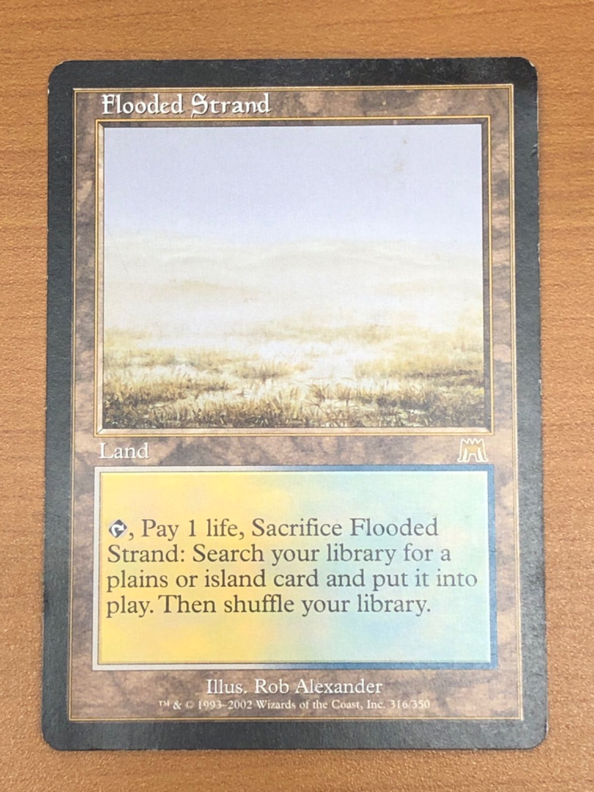 状態C 溢れかえる岸辺 Flooded Strand 316/350 英語版 EN MTG