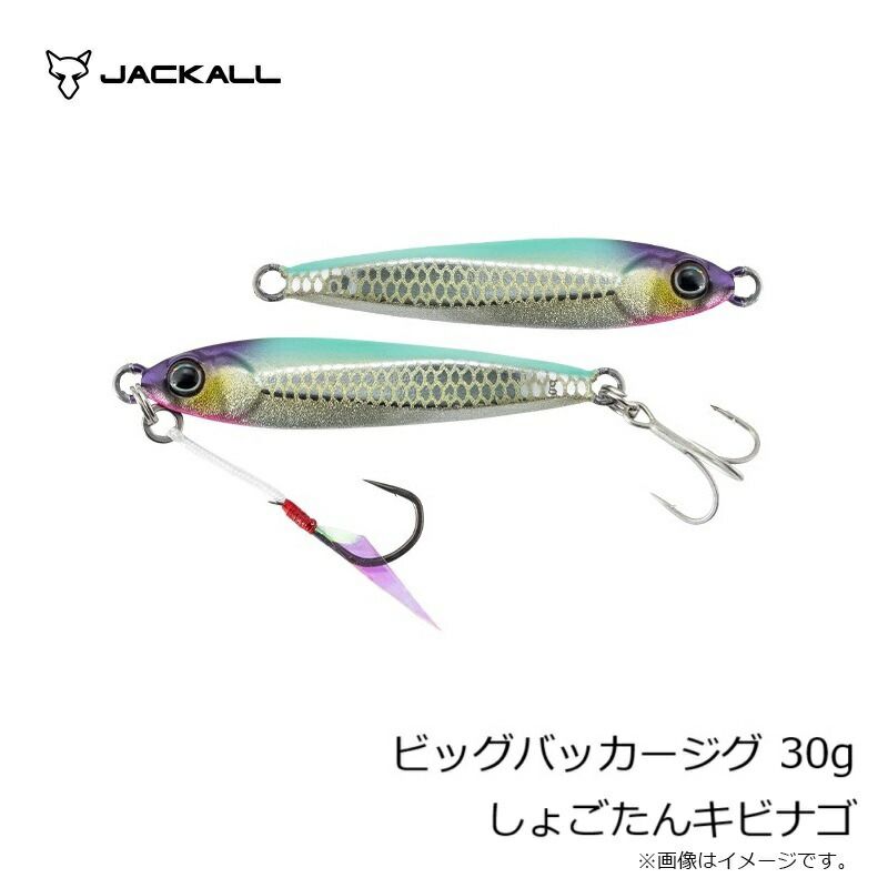 ビッグバッカー ジグ 30g しょごたんキビナゴ - メルカリ