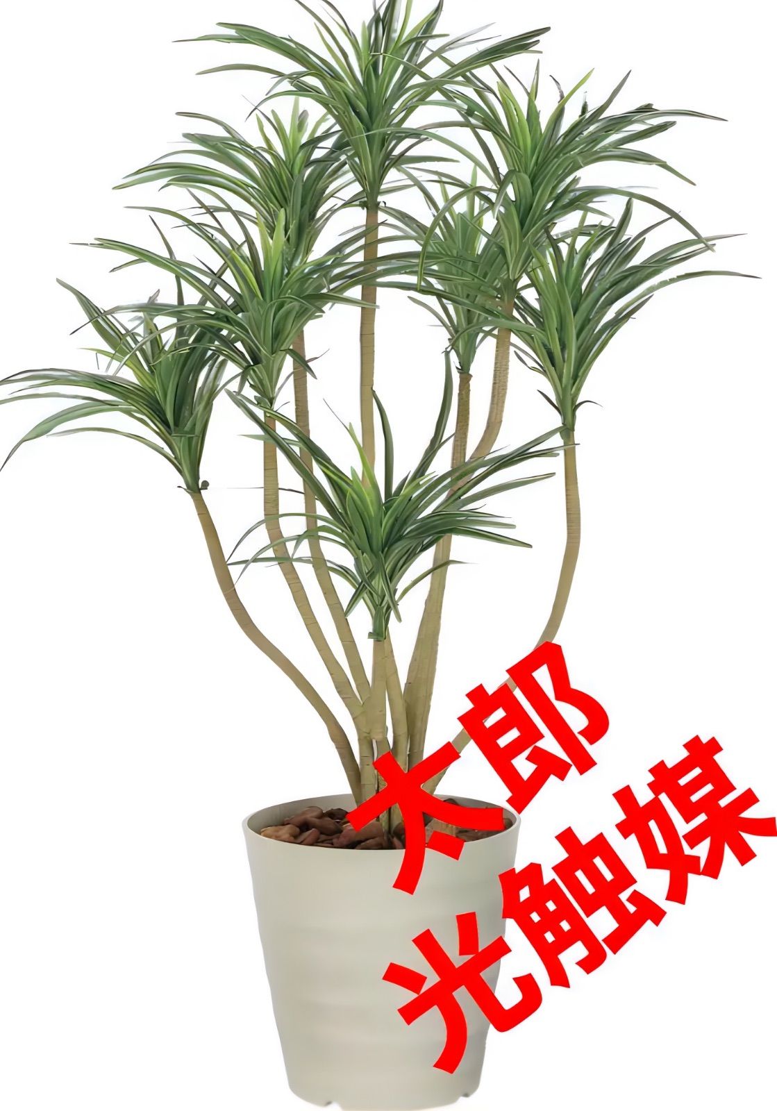 光触媒 人工観葉植物 ウォールグリーン フェイクグリーン DXユッカ1.6-