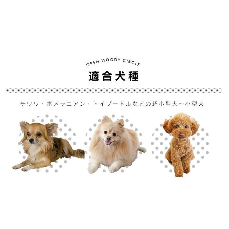 小型犬