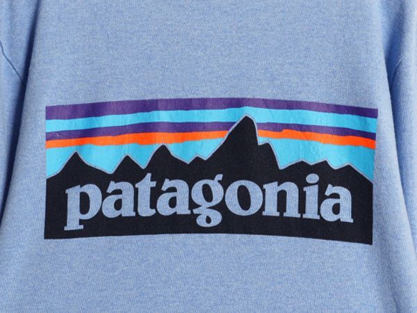 【お得なクーポン配布中!】 パタゴニア 両面 プリント 長袖 Tシャツ メンズ S / 古着 19年製 Patagonia アウトドア ロンT ロングスリーブ ロゴT P6 バックプリント 青