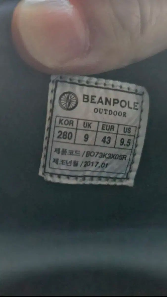 BEAN POLE