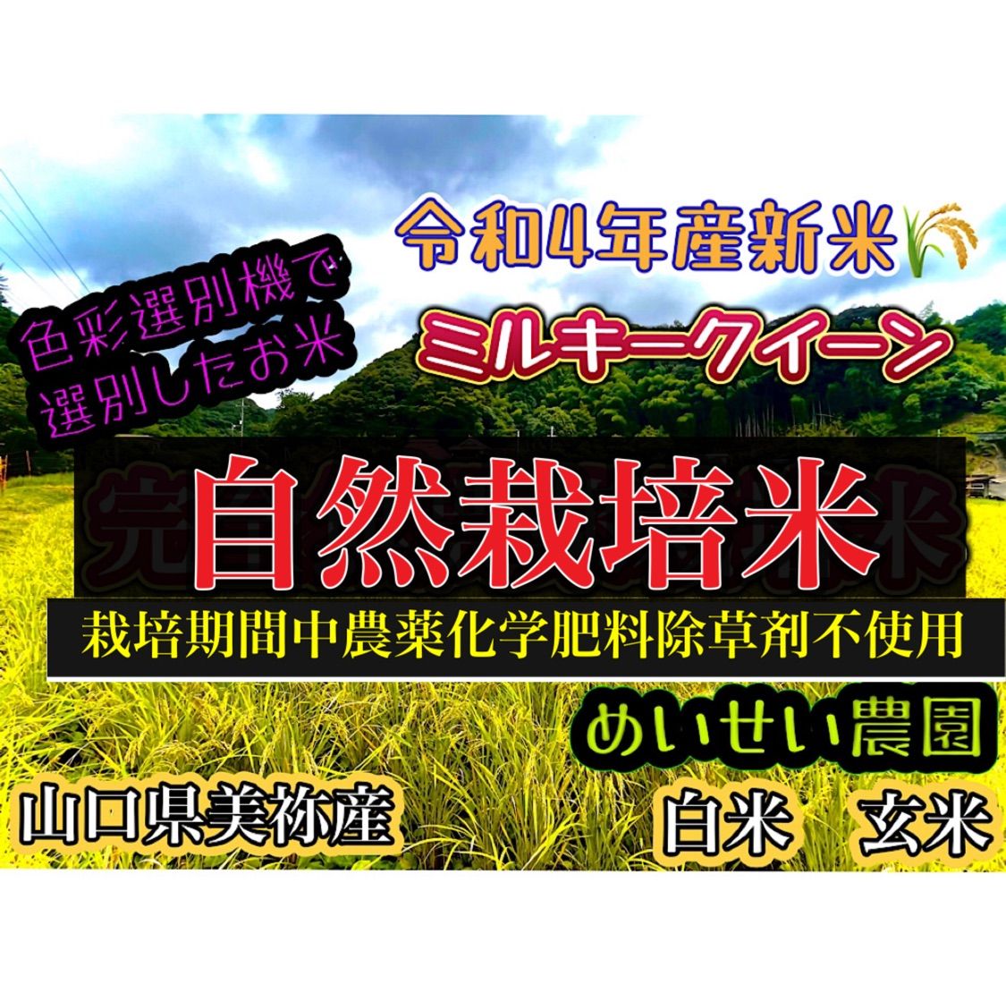 新米自然栽培米 山口県美祢産ミルキークイーン精米15キロ 里山直送 - 米