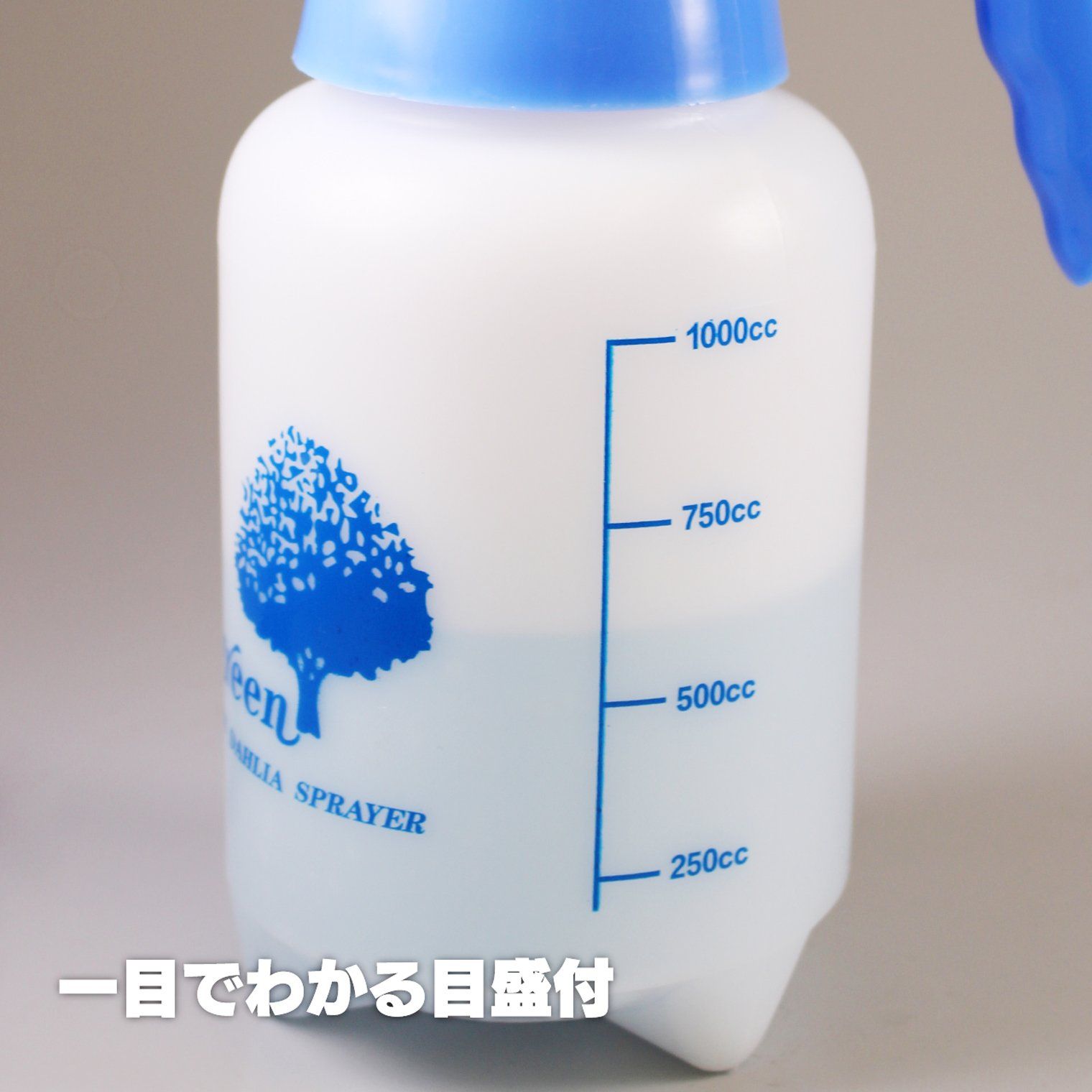 パープル レギュラー