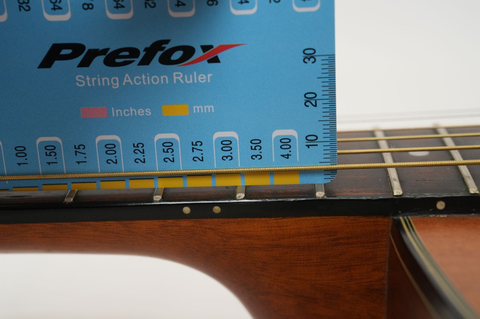 グランド オーディトリアム