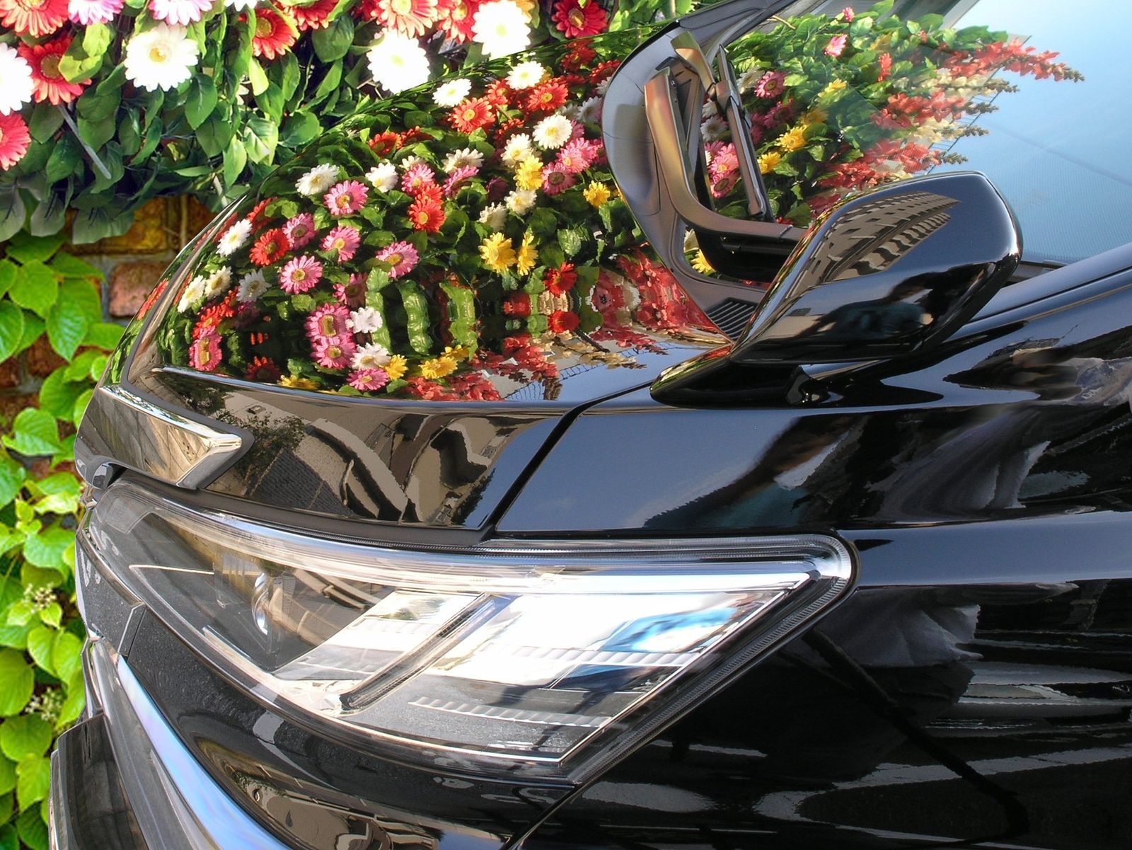 ブリスtypeRS 240ml