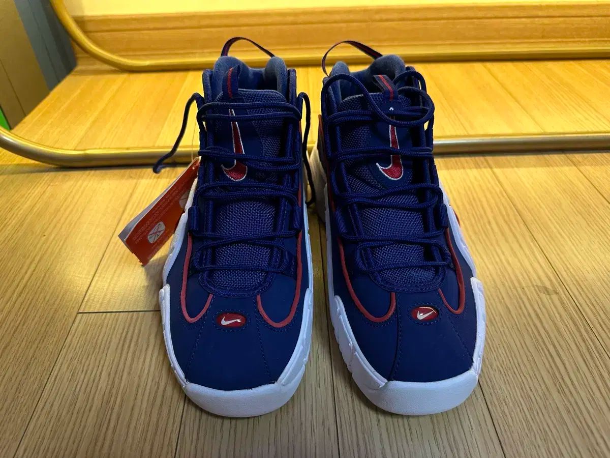 NIKE ナイキ エアマックス ペニー USA 250