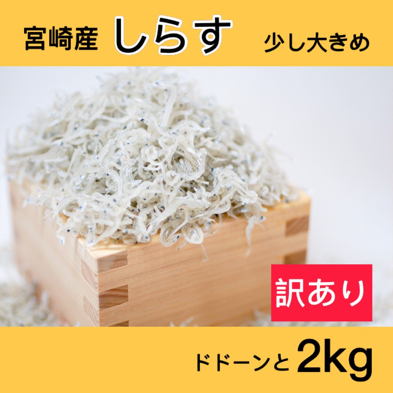 訳あり しらす 2kg 新物 メガ盛り 宮崎県産 しらす丼 しらすトースト カルシウム-0