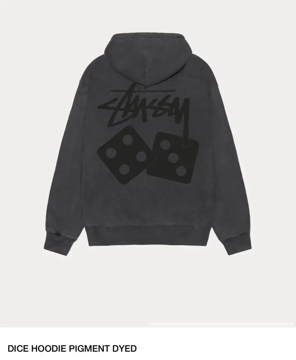 ストゥーチ ダイス フード付きTシャツ s l xl xxl