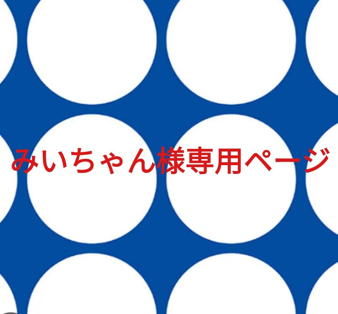 みいちゃん様 専用 公式通販 みぃ様専用 みい様 みい みいちゃん様専用