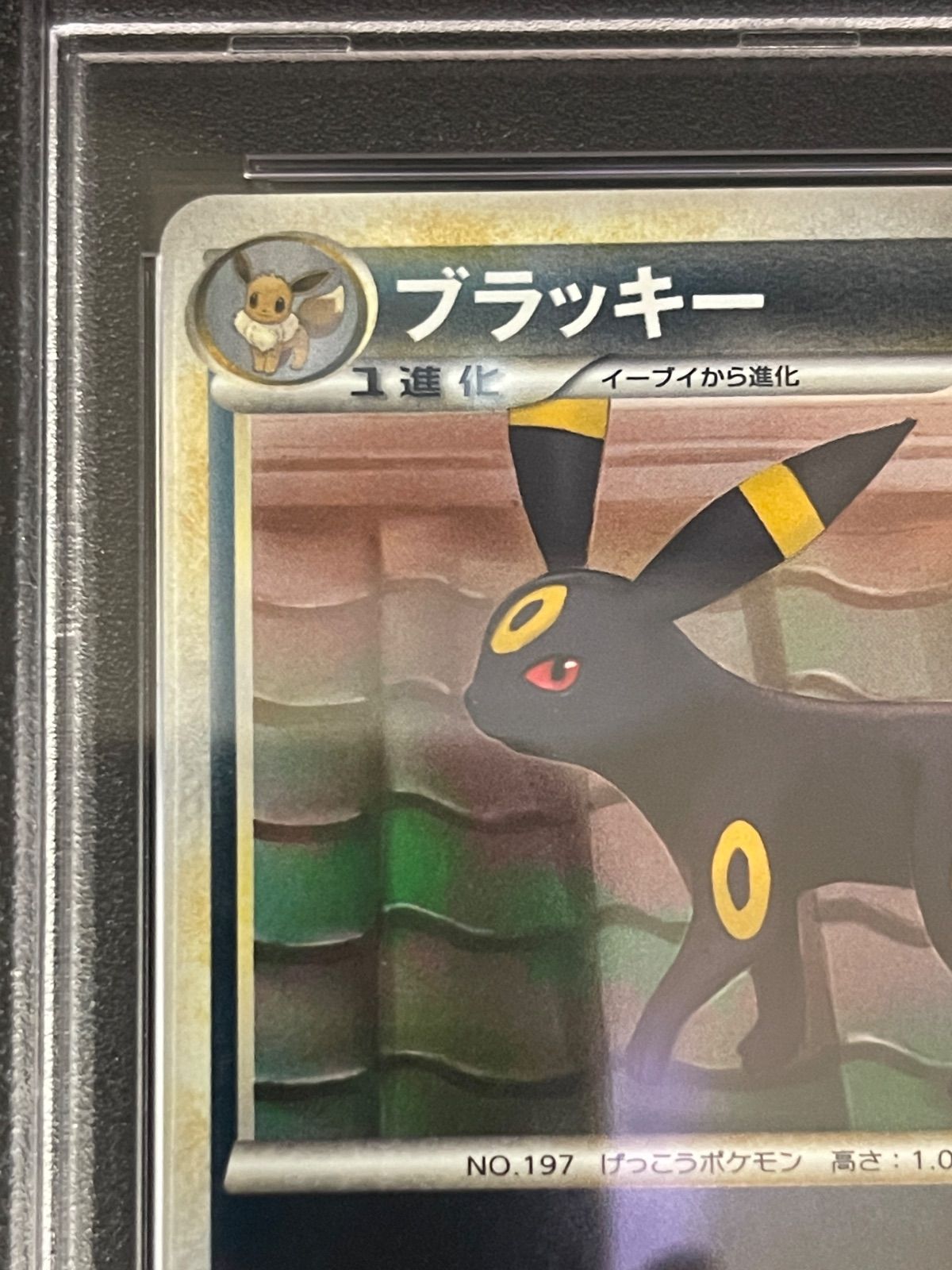 ポケモンカード　ブラッキー　レジェンド　ミラー ポケモンカード 2010年 ブラッキー 037/080 1stED レジェンド