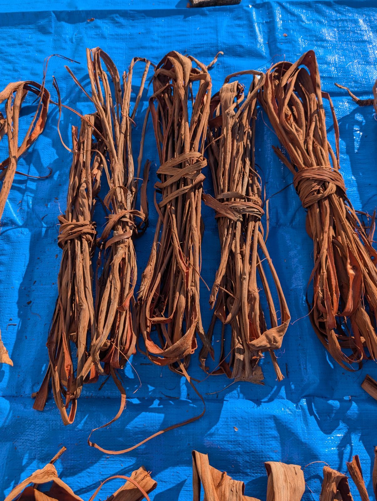 天然山葡萄の蔓3 採集状態で保存2.0キロ令和2年採取