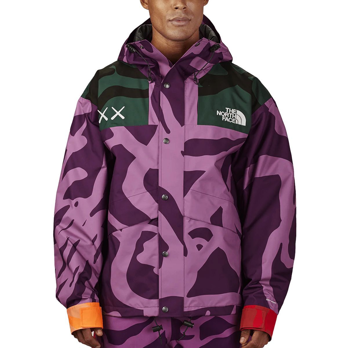 ザ ノースフェイス ダウンジャケット メンズ The North Face KAWS 1986 