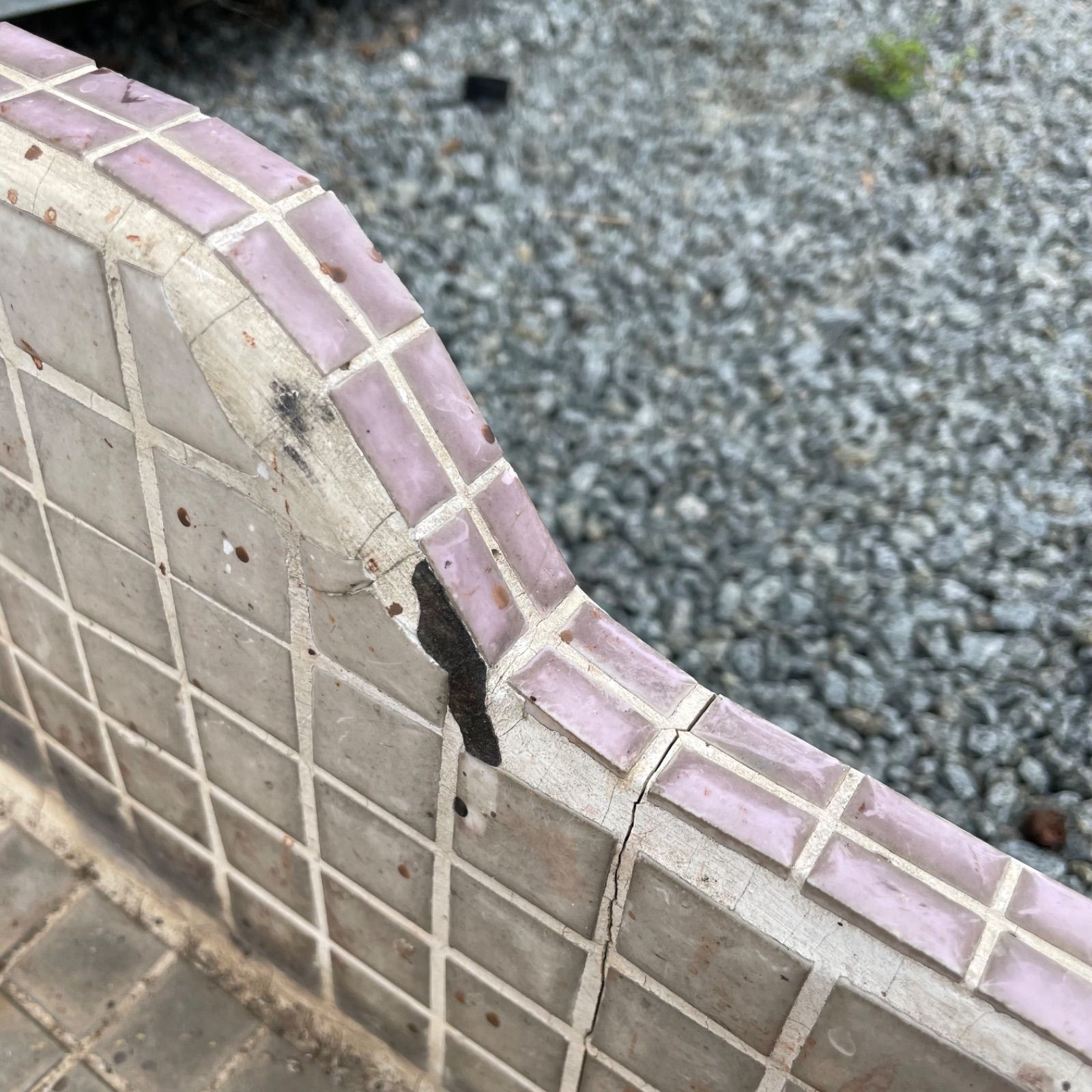 ガーデニング 園芸