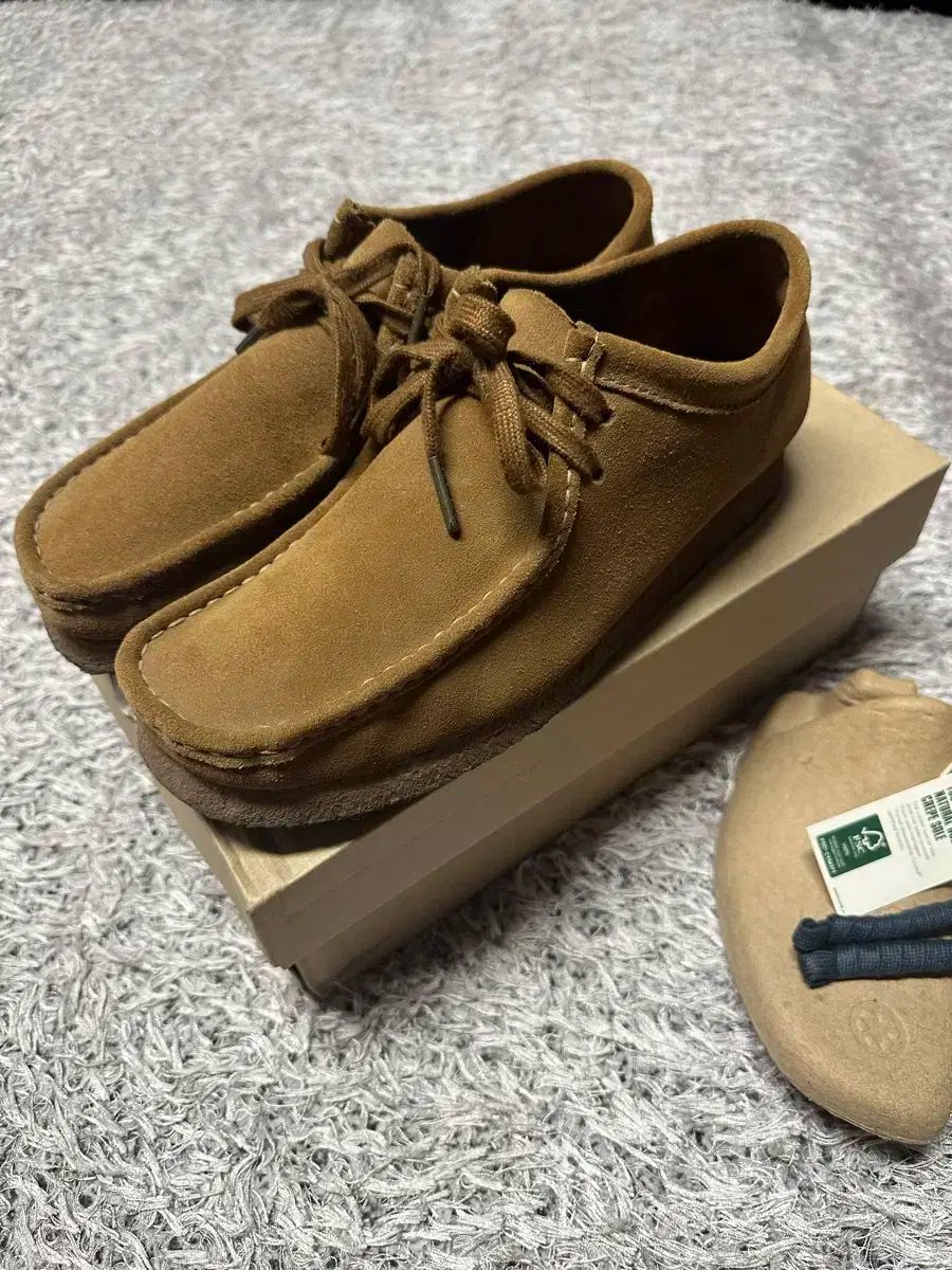 Clarks(クラークス) ワラビー 265