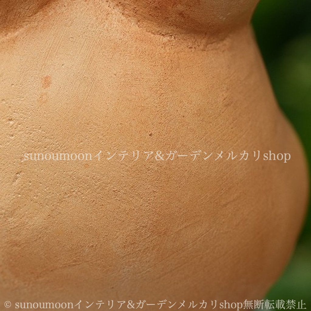 アニマル ウサギ