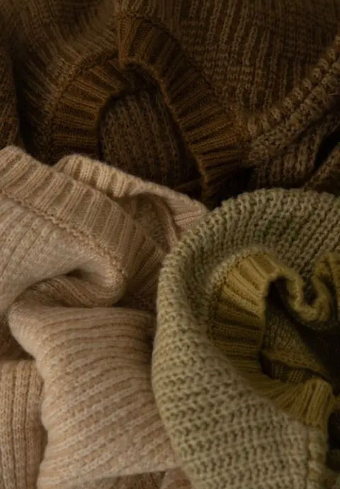 amiur crew neck jacquard knit ニット　エミレ