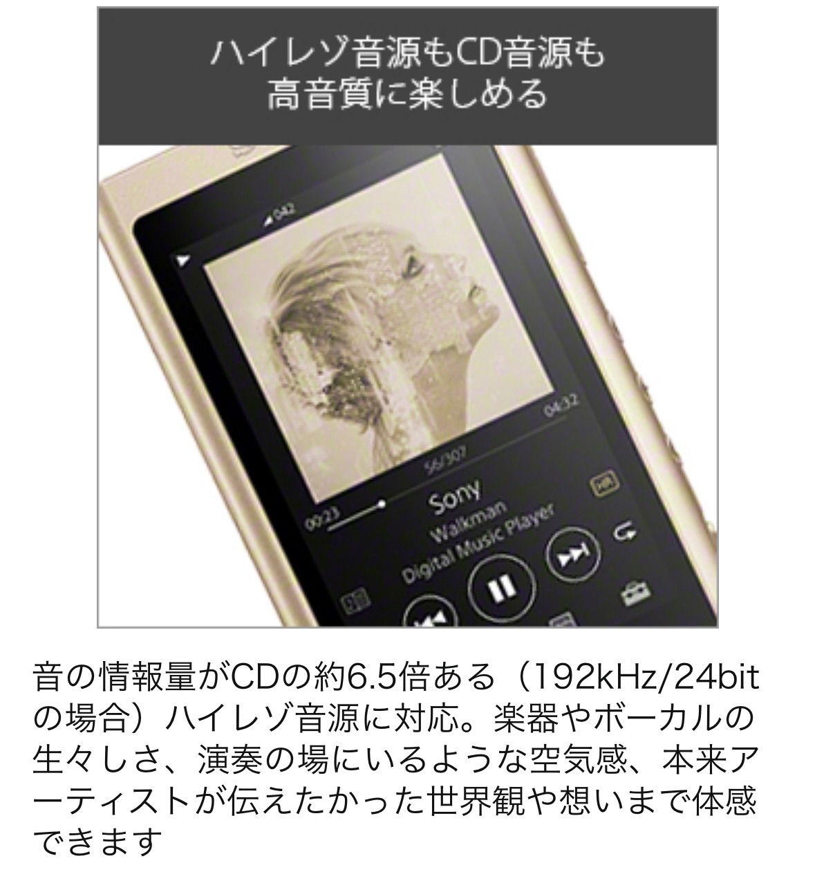 Sony NW-A45 安室透モデル ペールゴールド ウォークマン Aシリーズ