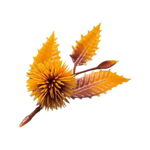 ヤマコー 用美 業務用 四季の花ごよみ 栗 茶 200個入 yamaco64332