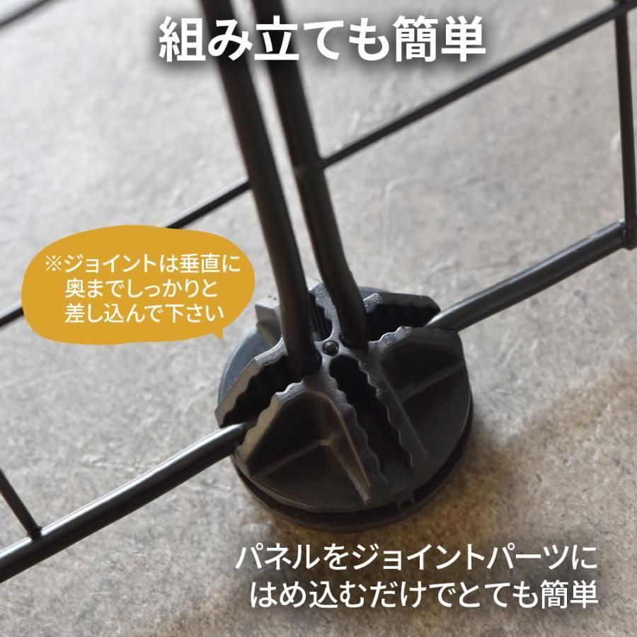 ウサギ