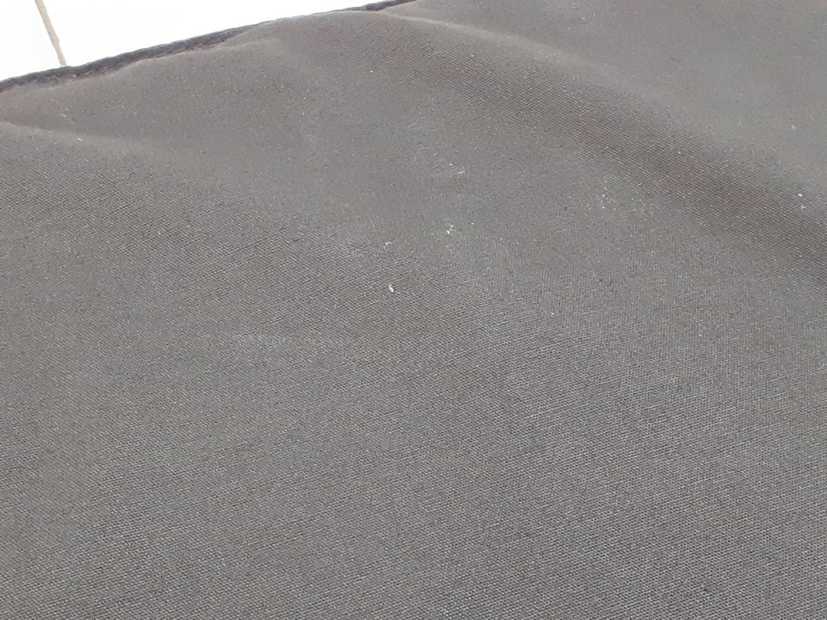 Shakti シャクティ