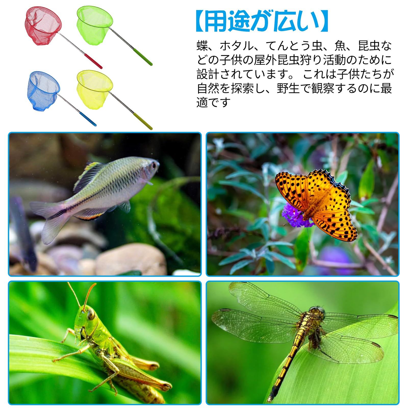 最終値下げ!虫取り網 ピンク 虫網 虫取りアミ 昆虫 昆虫採集 子供 伸縮 Amazon | Ltoy 改良型 虫取り網 虫網 伸縮式 3段伸縮 子供 虫