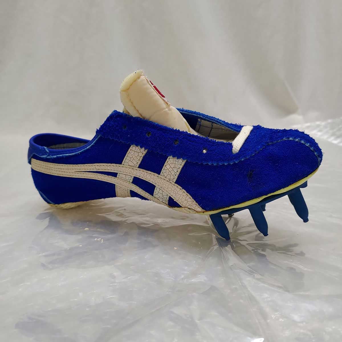 オニツカタイガースパイク(25.0) Onitsuka Tiger オニツカタイガー DS-SK 陸上スパイク サイズ