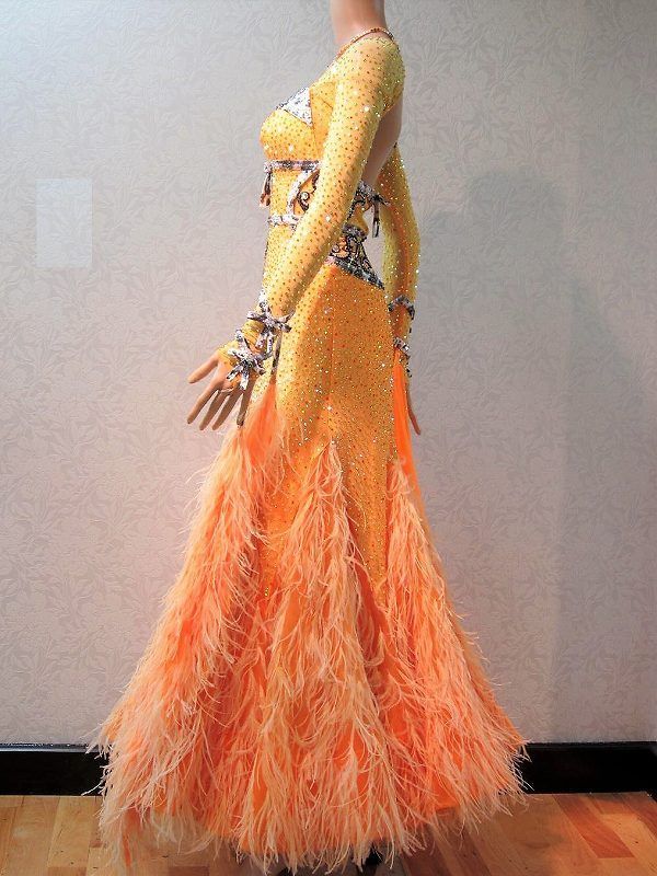 お値下げしました！ 社交ダンス ラテン 衣装 中古 価格