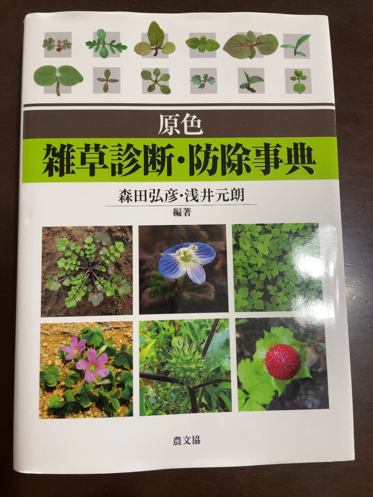 本 原色 雑草診断・防除事典
