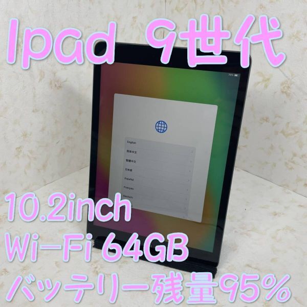 Wi-Fi64GB GLAY