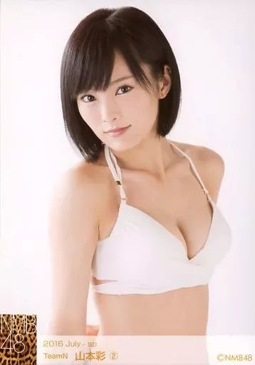 山本彩 生写真 個別5枚組 2016 年間 12ヶ月分 山本彩 生写真 個別5枚組 2016 年間 12ヶ月分 山本彩 2016