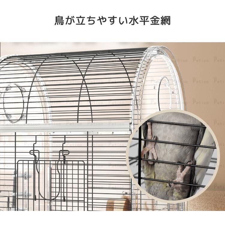 透明感 観察しやすい