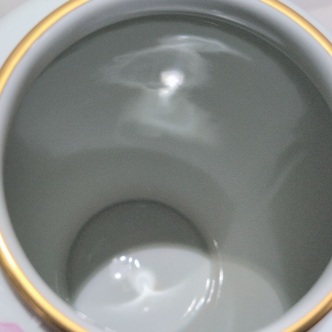 コチョウラン 花瓶