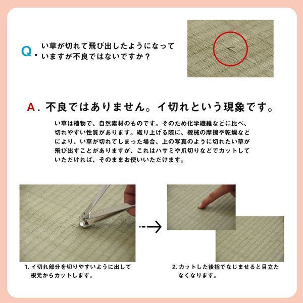 消臭 〔リビング