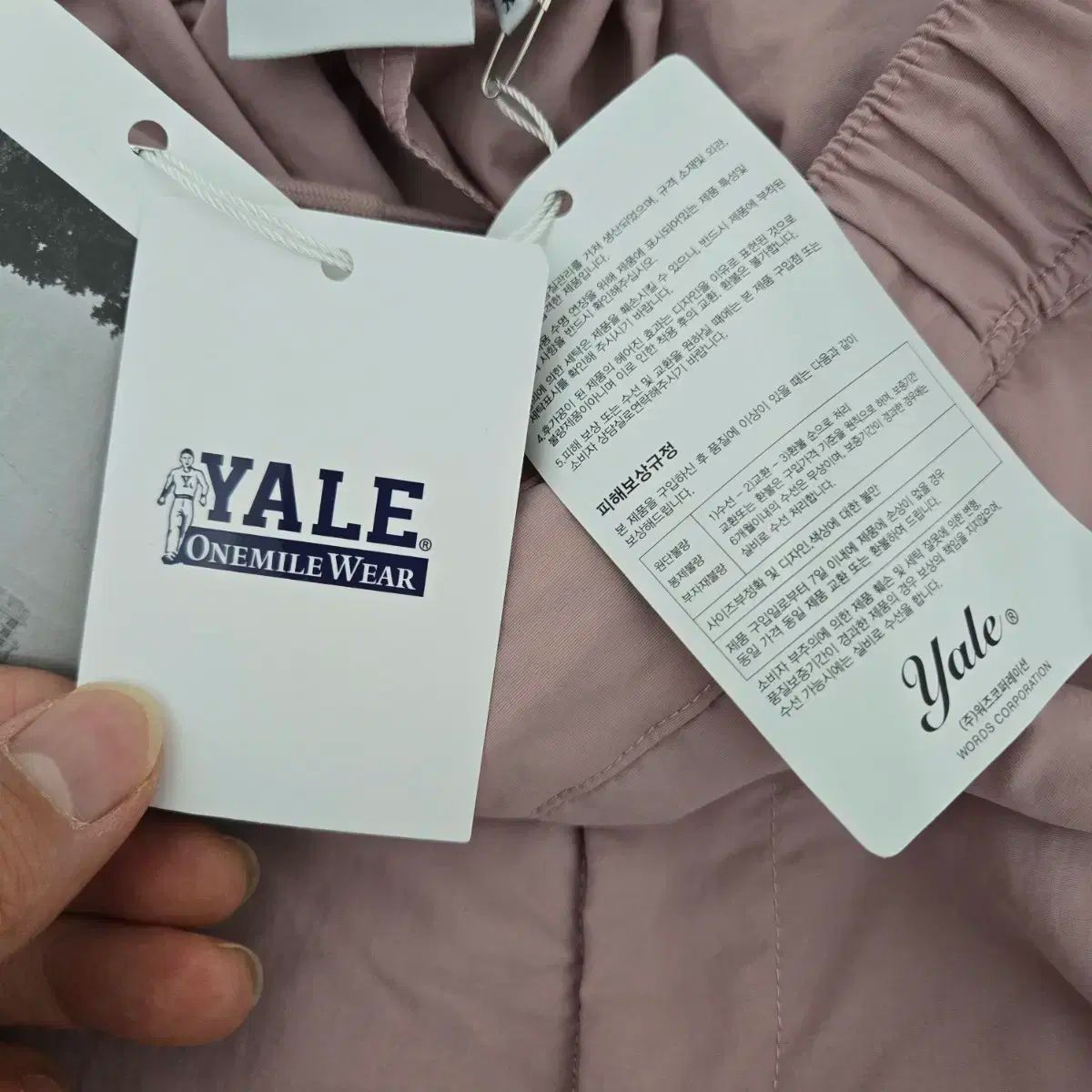 イェール Yale