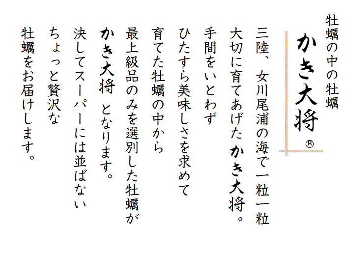 【生食用】かき大将 中 M/30個 三陸宮城女川 殻付き 生牡蠣-1