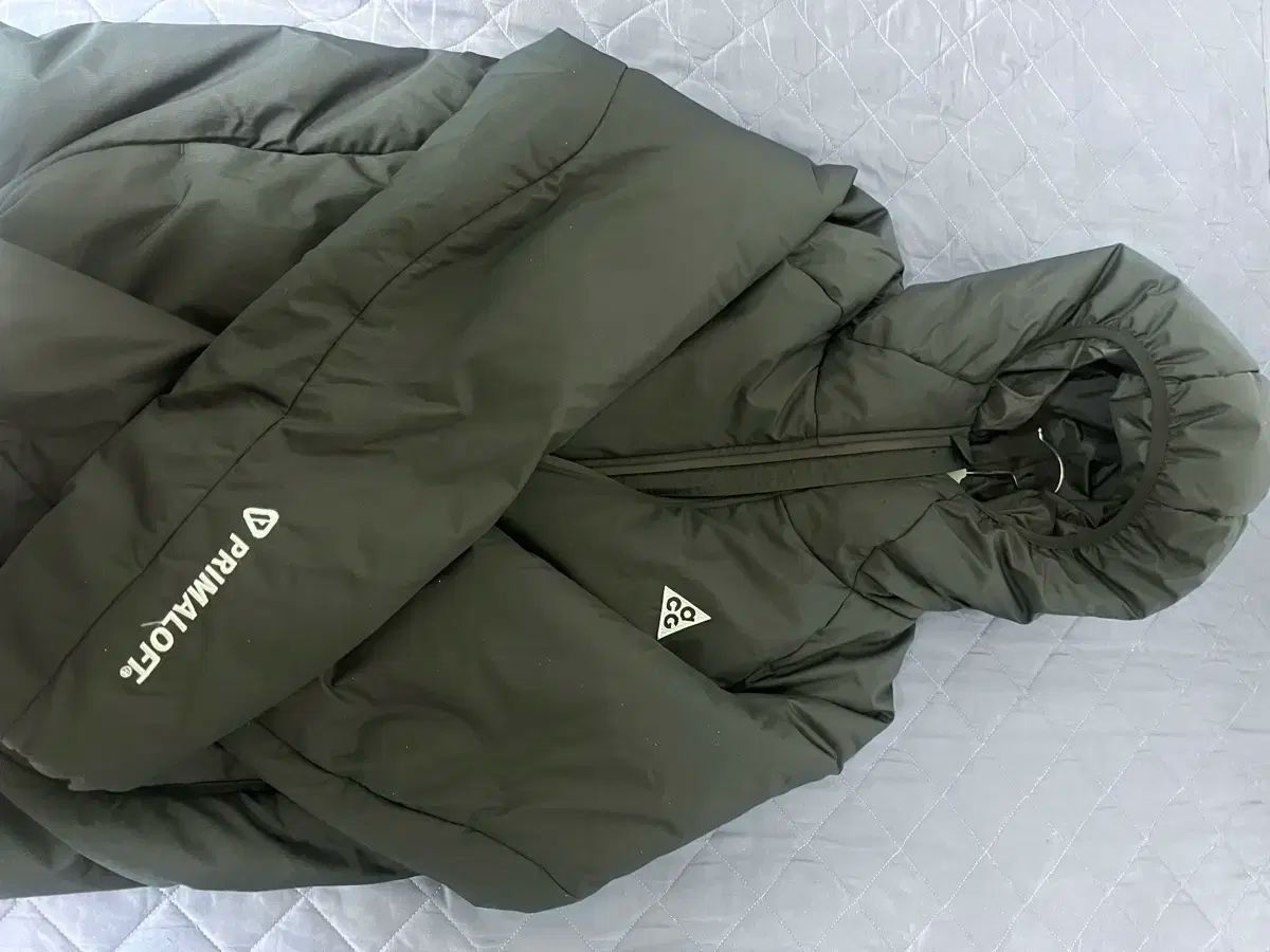 NIKE ナイキ ウーマンズ ACG ロープ デ ドープ サーマフィット ADV サイズ m