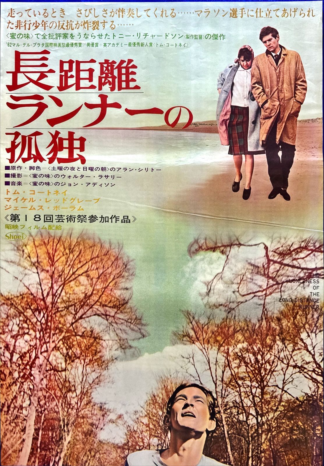 z 長距離ランナーの孤独