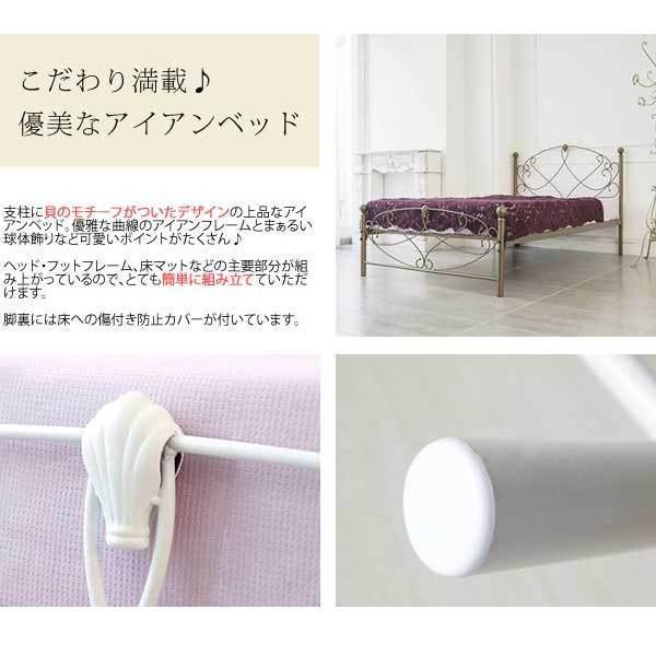 アイアン プリンセスチック