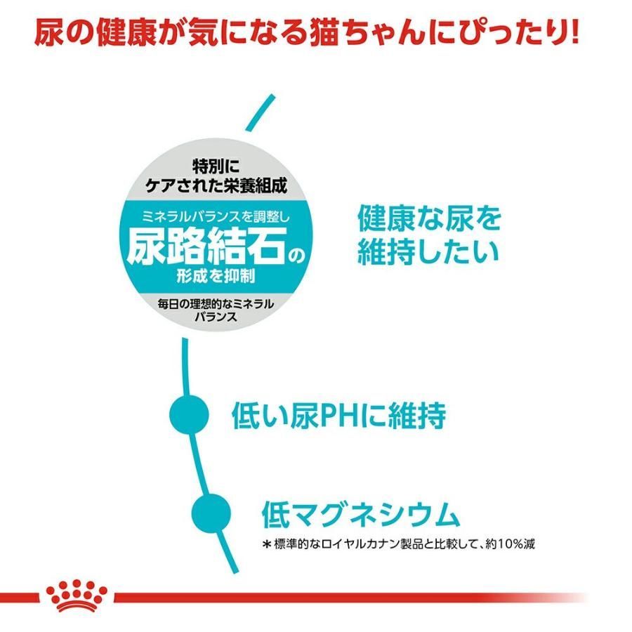 ジップ付 お一人様２