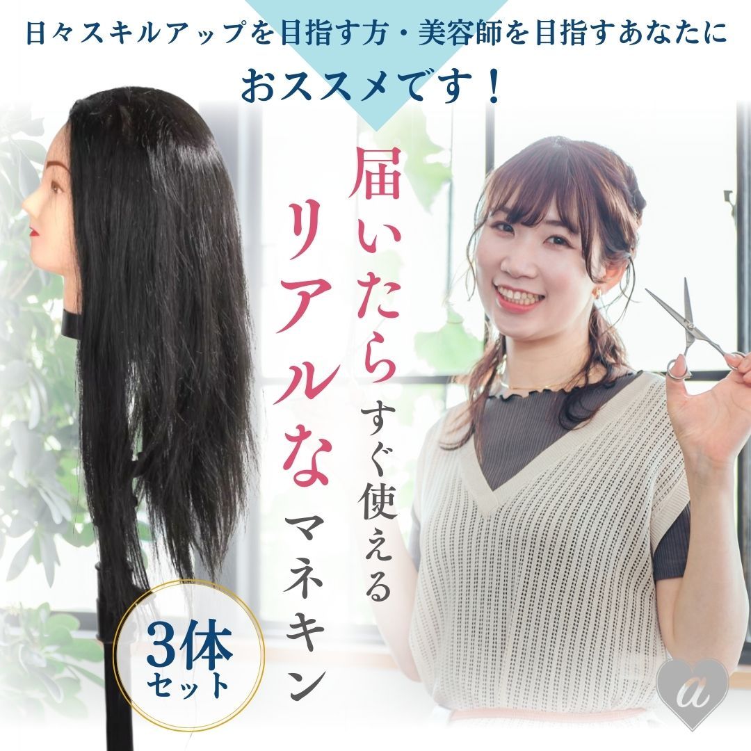 国家試験用カットウィッグ 3頭セット 【公式通販】