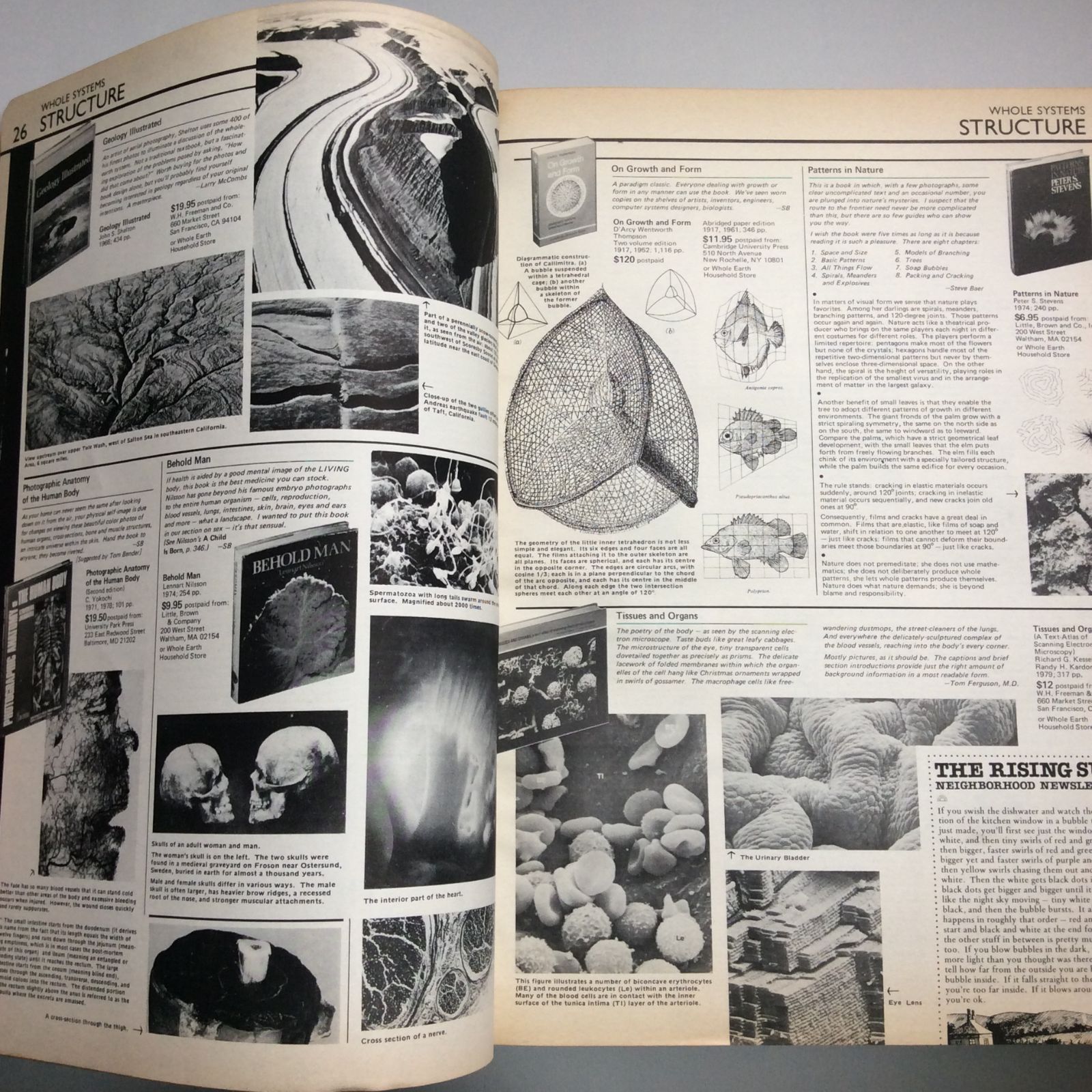 初版】The Next Whole Earth Catalog（ネクストホールアースカタログ）/ Whole Earth Catalog - 洋書