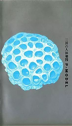 中古】邦楽 VHS P-MODEL / 三界の人体地図 - メルカリ
