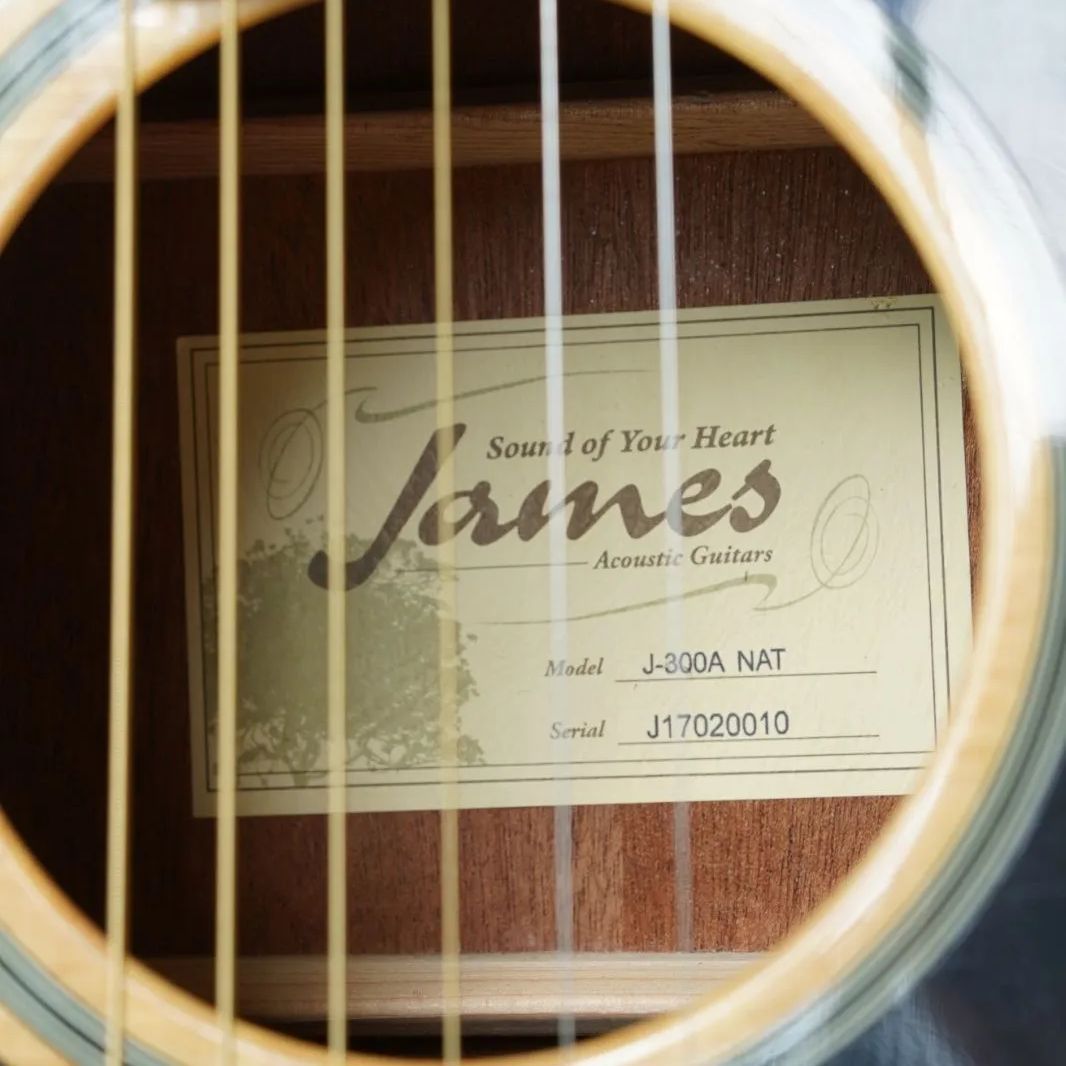 James J-300A（中古）【楽器検索デジマート】